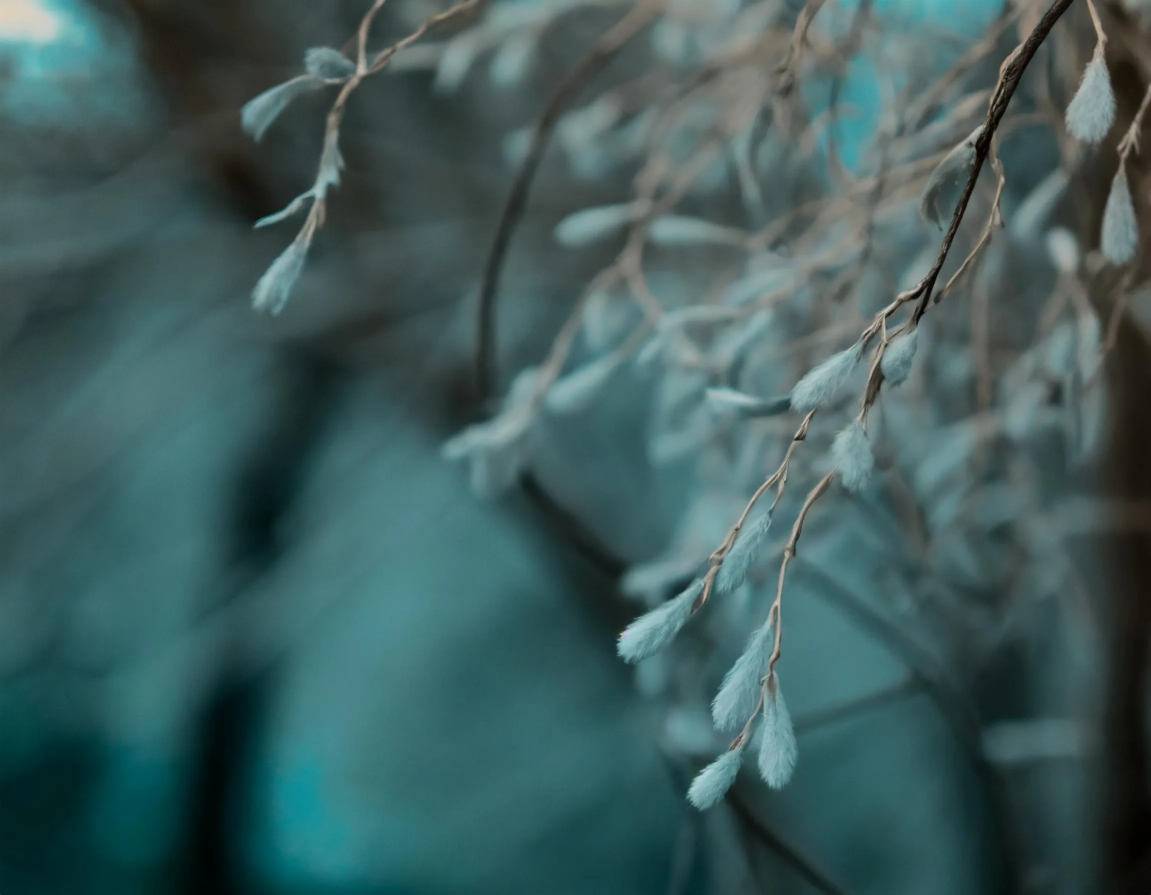 branches, outside, fabric, close-up, dusty green blue shades 13576