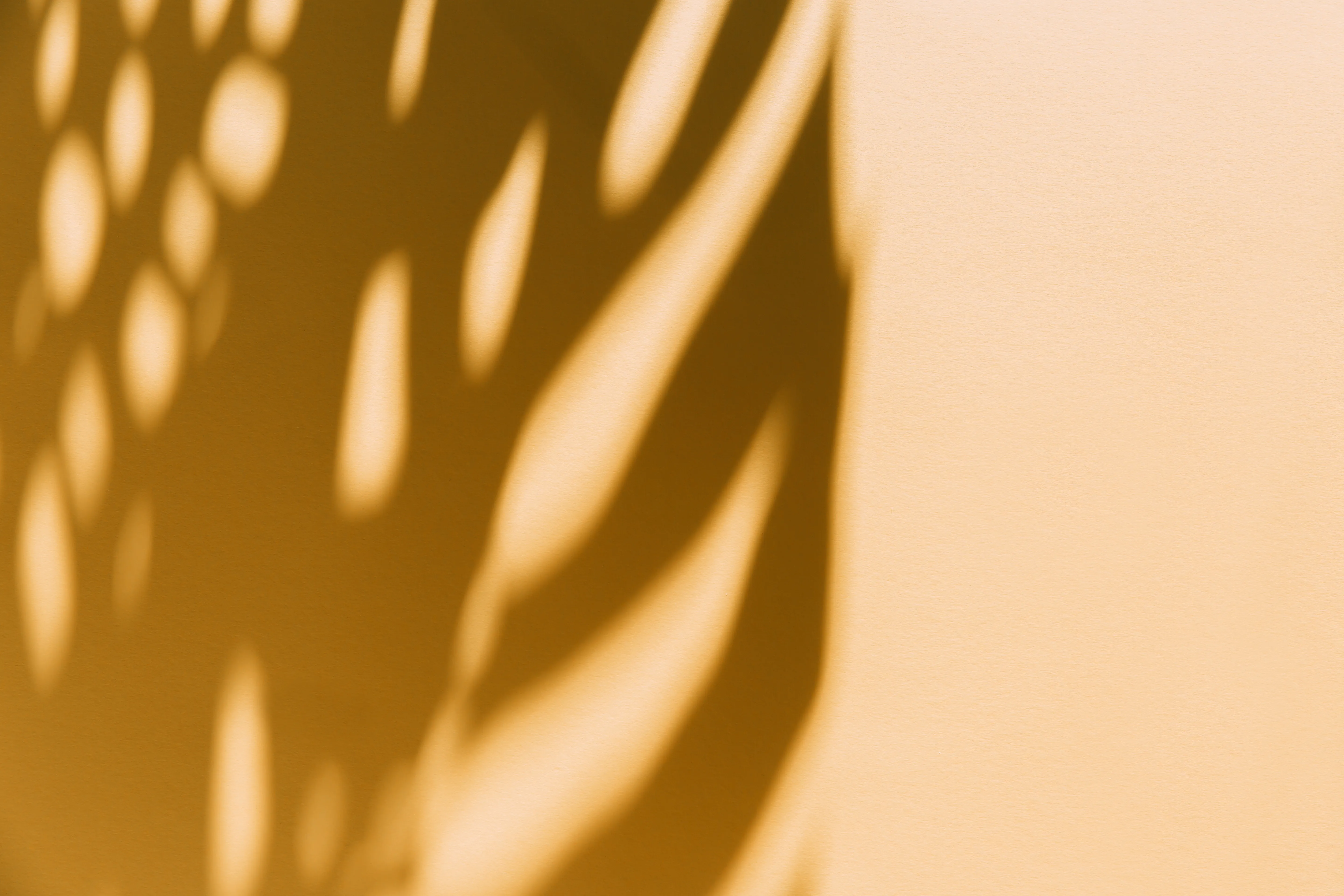 abstract-background-of-shadows-palm-leaves-on-a-ye-2025-01-09-09-38-31-utc