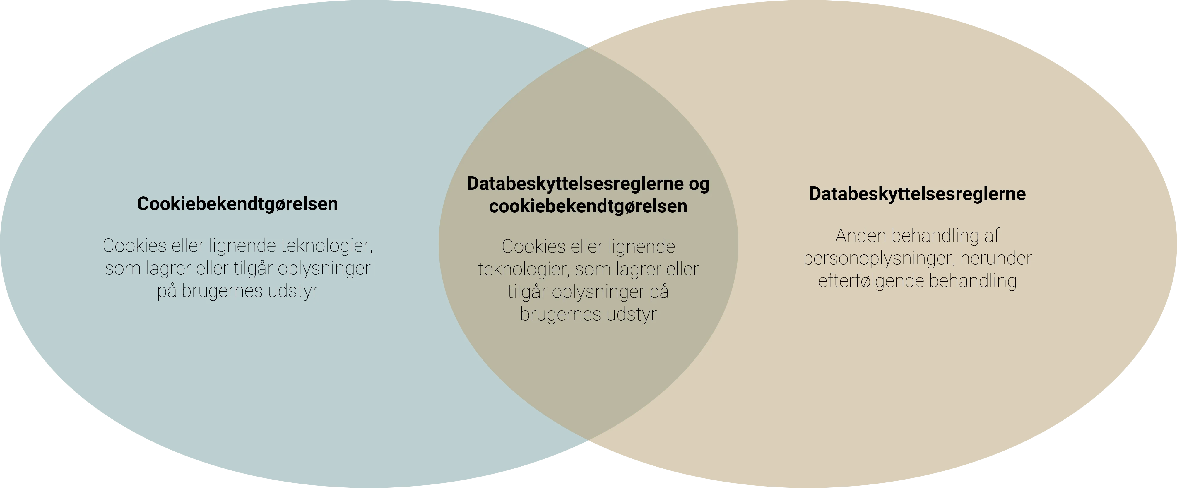 cookiebekendtgørelse og databeskyttelse