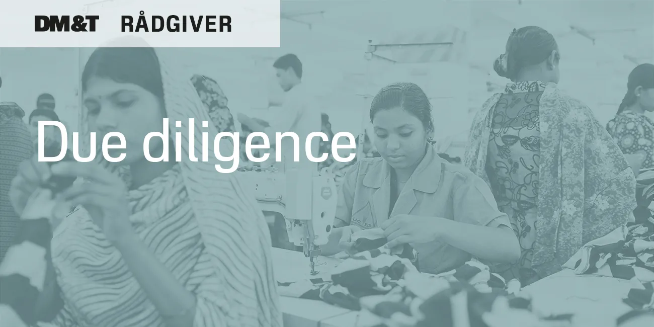 dmogt raadgiver due diligence 1300x650