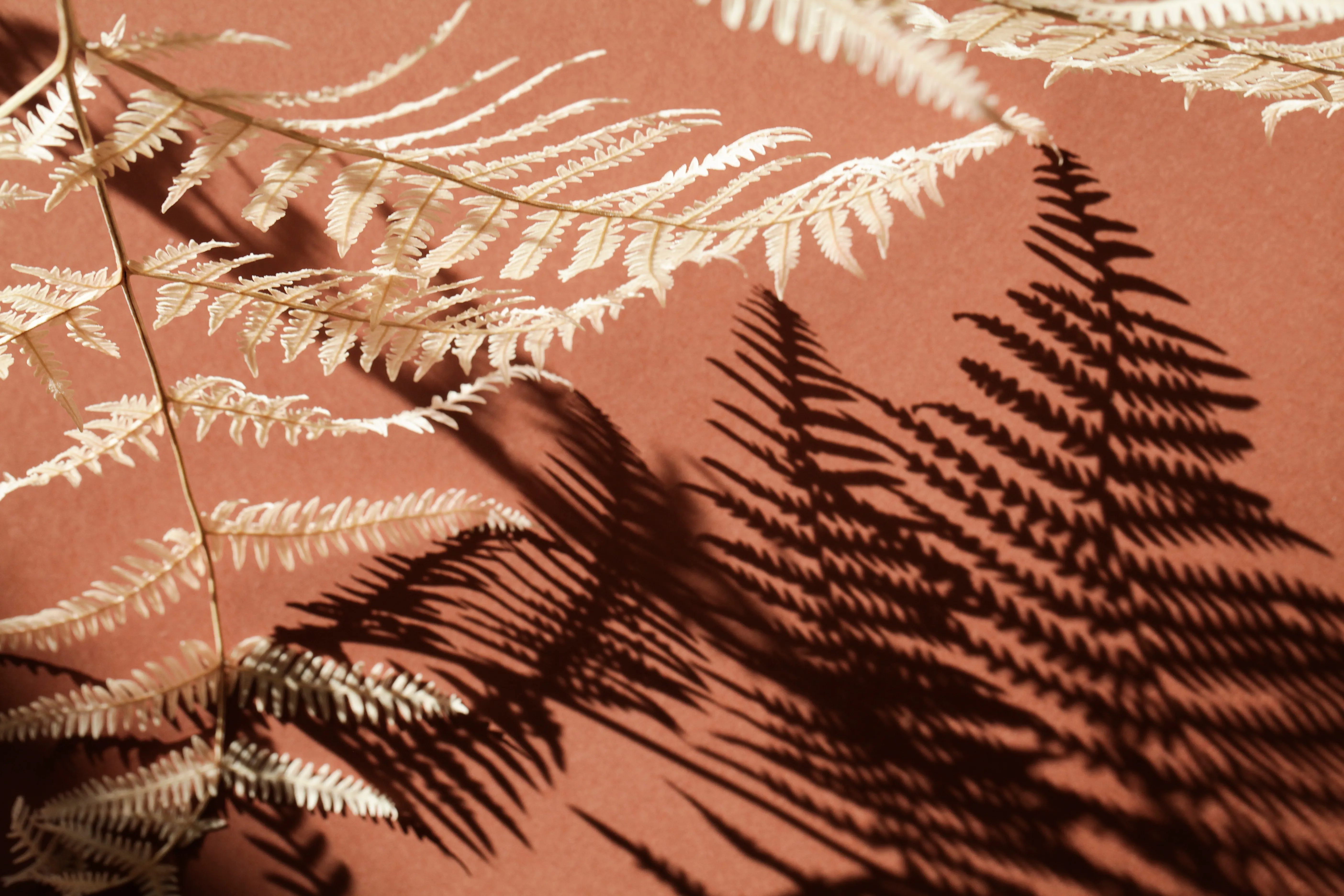 floral-composition-of-dyed-branch-fern-on-drown-ba-2025-02-10-04-18-17-utc