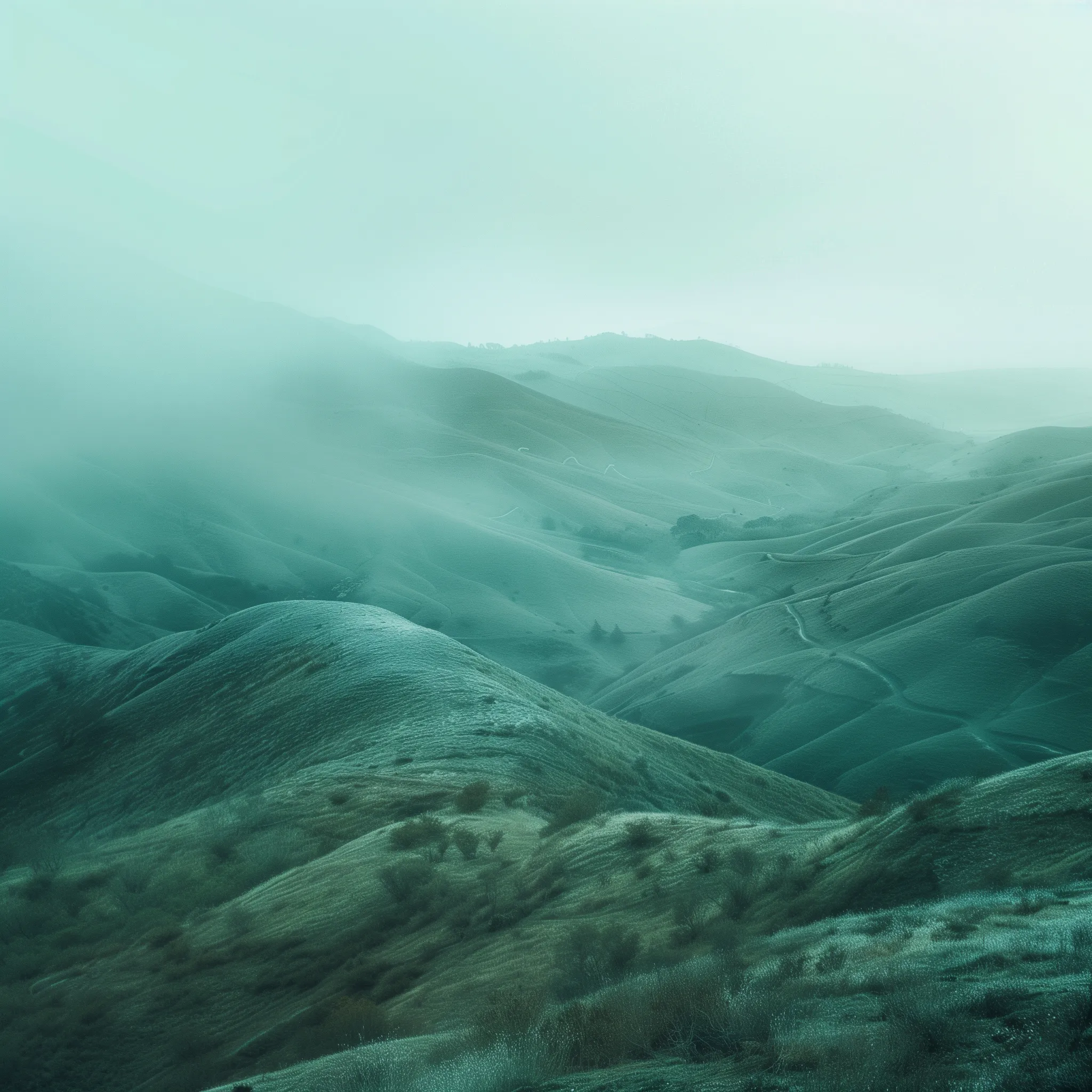 landscape sustanability close-up. dusty green blue shades