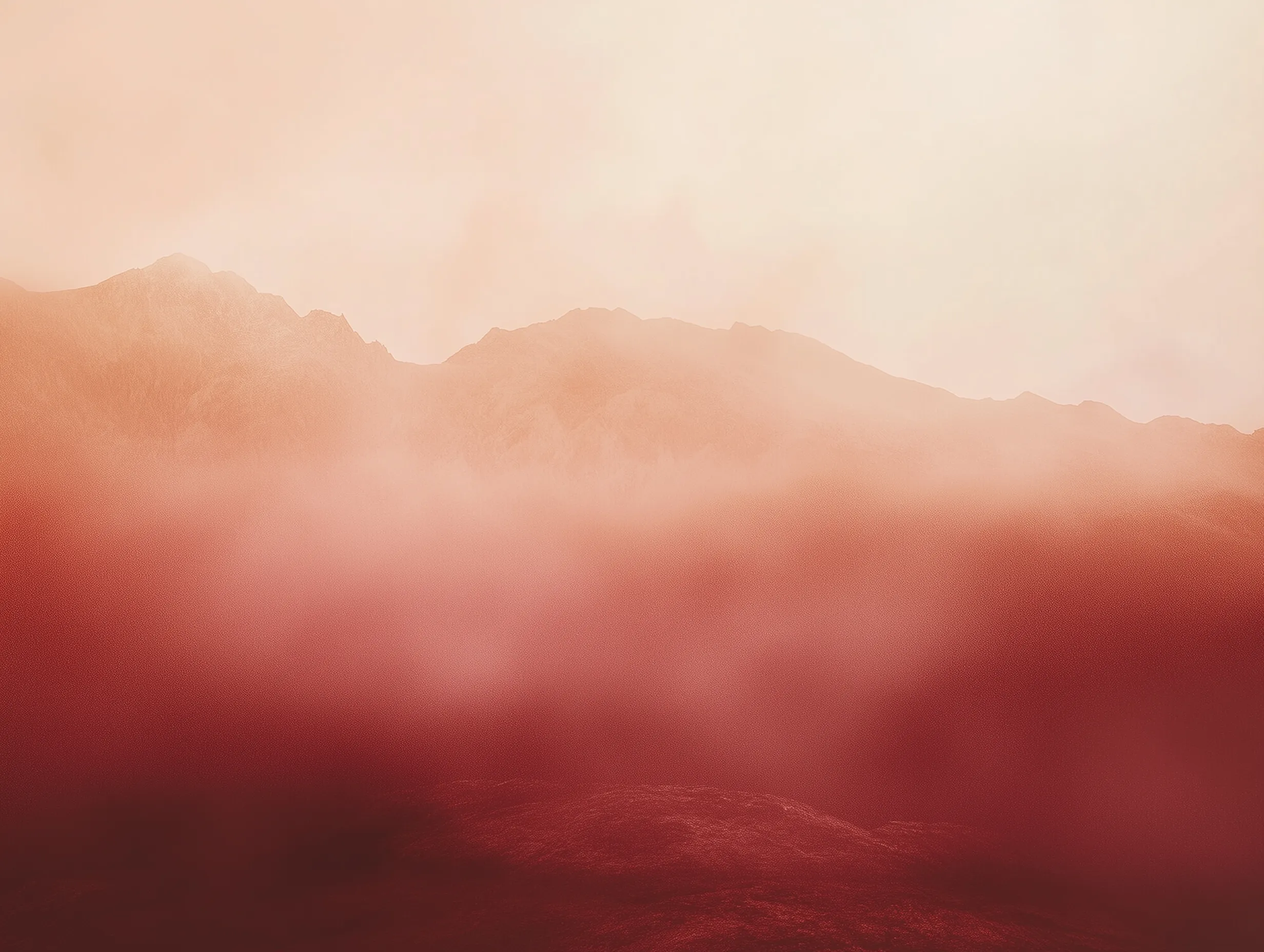 lenebusv minimalist close-up realistic photo nature dusty red s 1fce1799-89c6-4027-8b2d-858f7d2dc198